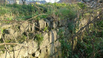 Aggiudicata la gara per i lavori di rinforzo degli argini in località Starza